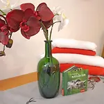 Alpenhof-3 By Interhome شقة كابل